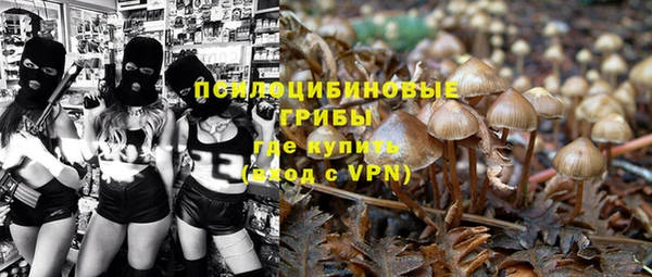 спиды Алексин
