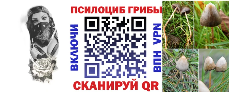 darknet клад  Лермонтов  Галлюциногенные грибы Magic Shrooms 